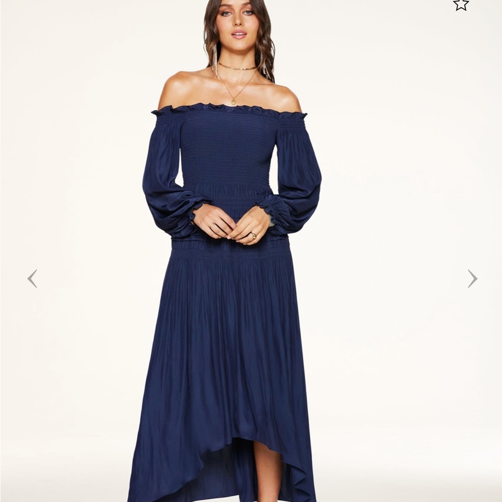 Ramy Brook maxi rose color dress.